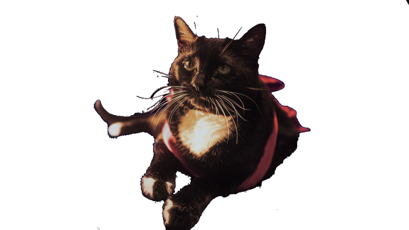 Luna